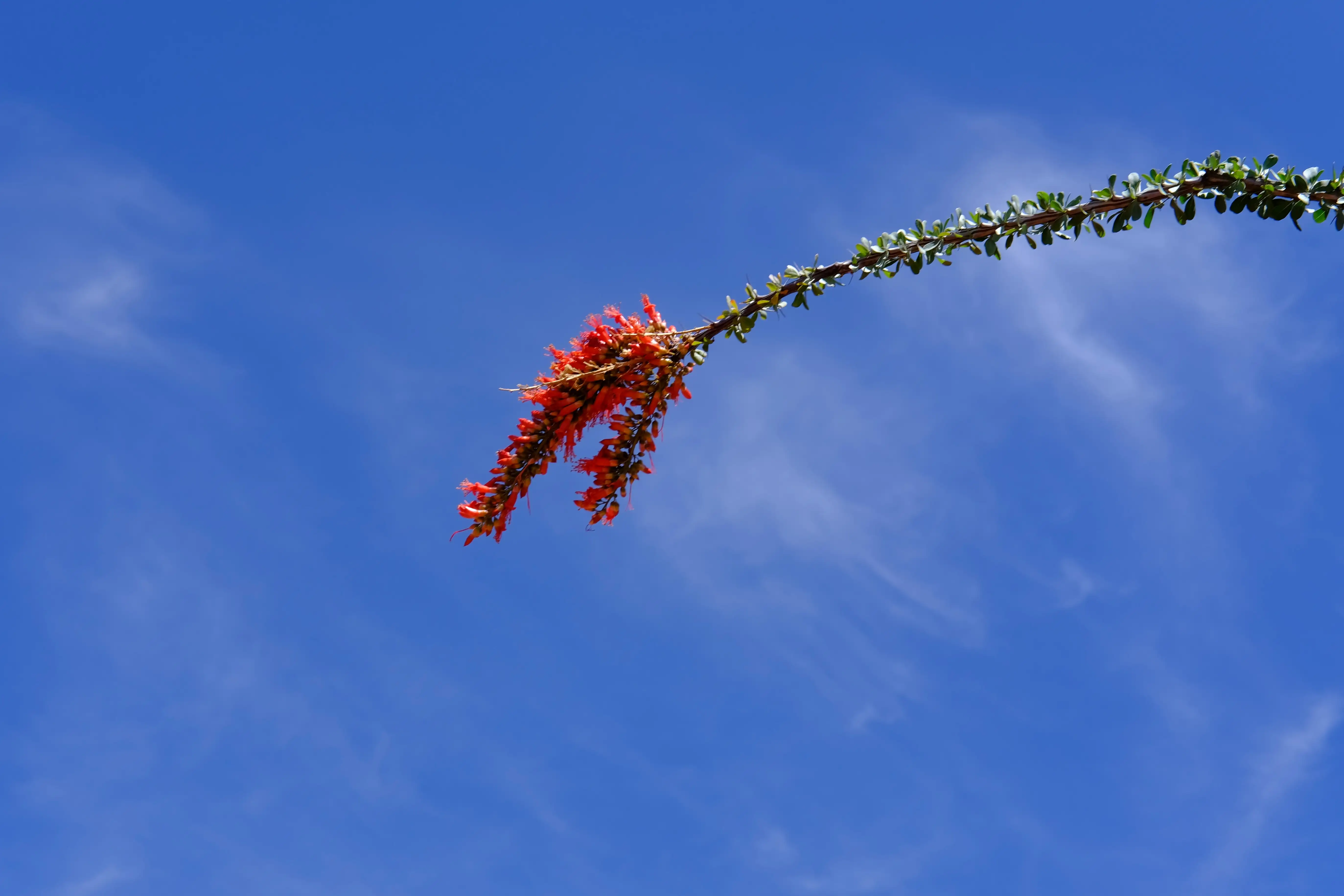 Photo Travel--00015--57b05364-6bdf-4f92-ad7f-deff744ebea9